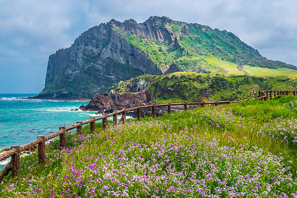 Jeju Island Utilizes NFTs to Enhance Tourism and Agriculture